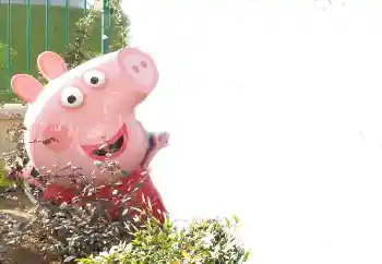 Foto effect van de categorie Verschillende kinderfotolijsten № 101439