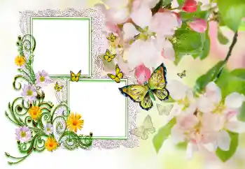 Foto effect van de categorie Verschillende kinderfotolijsten № 115846. Opschrift op de lijst: Gefeliciteerd! Foto effect van de categorie Verschillende kinderfotolijsten № 115846. Opschrift op de lijst: Gefeliciteerd!
