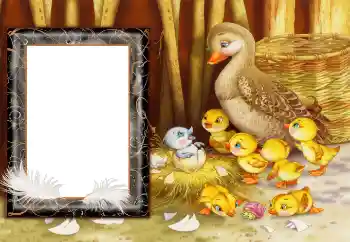 Foto effect van de categorie Dorp en buitenhuis № 166682