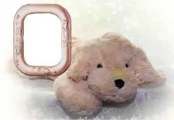 Foto effect van de categorie Mijn speelgoederen en lievelingen № 169102