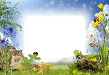 Foto effect van de categorie In de vriuw natuur № 141000