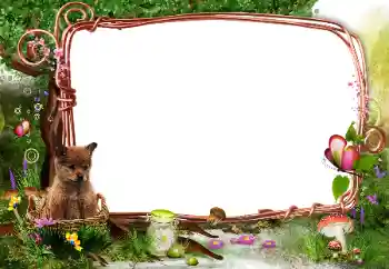 Foto effect van de categorie In de vriuw natuur № 142331