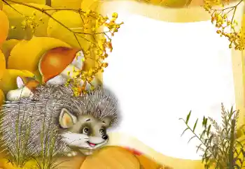 Foto effect van de categorie In de vriuw natuur № 166562