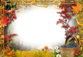 Foto effect van de categorie In de vriuw natuur № 192842