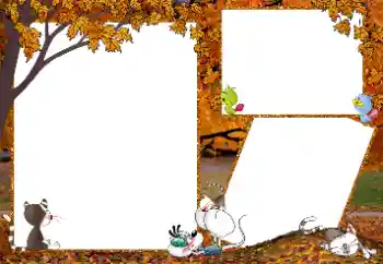 Foto effect van de categorie Wandeling № 192841