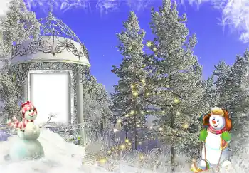 Foto effect van de categorie Winter vermaak № 144988