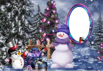 Foto effect van de categorie Winter vermaak № 153018