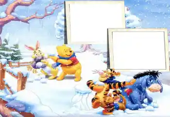 Foto effect van de categorie Winter vermaak № 67302