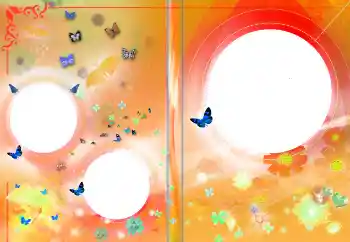 Foto effect van de categorie DVD-omslaggen № 145141