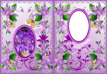 Foto effect van de categorie DVD-omslaggen № 183322