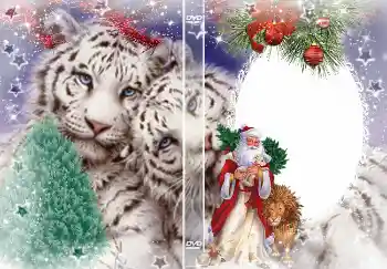 Foto effect van de categorie DVD-omslaggen № 4463. Opschrift op de lijst: Nieuwjaar Foto effect van de categorie DVD-omslaggen № 4463. Opschrift op de lijst: Nieuwjaar