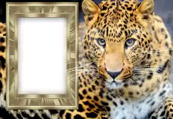 Foto effect van de categorie Kalenders № 131307. Opschrift op de lijst: 2026