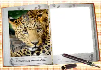 Foto effect van de categorie Kalenders № 131308. Opschrift op de lijst: 2026