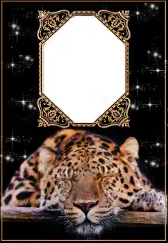 Foto effect van de categorie Kalenders № 176574. Opschrift op de lijst: 2026