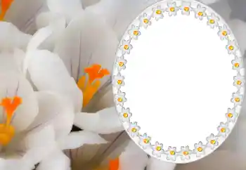 Foto effect van de categorie Kalenders № 80371. Opschrift op de lijst: 2026