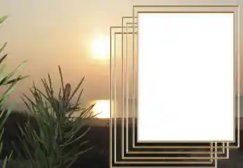 Foto effect van de categorie Kalenders № 83902. Opschrift op de lijst: 2026