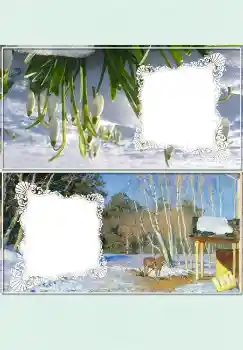 Foto effect van de categorie Met stander № 4524