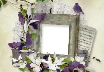 Foto effect van de categorie Verschillend № 100112