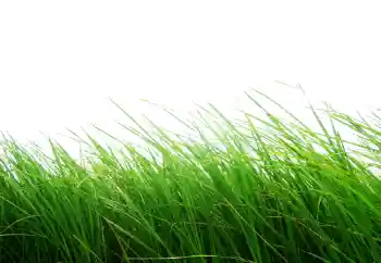 Foto effect van de categorie Verschillend № 101116