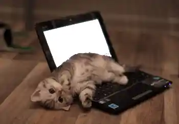 Foto effect van de categorie Verschillend № 101158