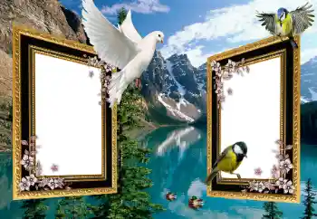 Foto effect van de categorie Verschillend № 101225