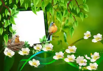 Foto effect van de categorie Verschillend № 101227