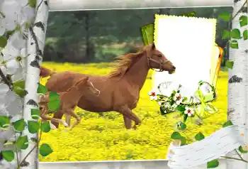 Foto effect van de categorie Verschillend № 101264