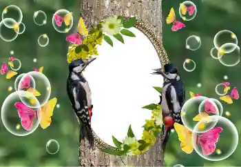 Foto effect van de categorie Verschillend № 101320 Foto effect van de categorie Verschillend № 101320