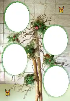 Foto effect van de categorie Verschillend № 101323 Foto effect van de categorie Verschillend № 101323