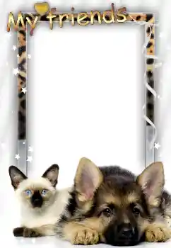 Opschrift op de lijst: Mijn vrienden Opschrift op de lijst: Mijn vrienden