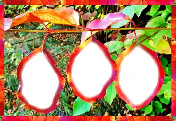 Foto effect van de categorie Verschillend № 102598 Foto effect van de categorie Verschillend № 102598