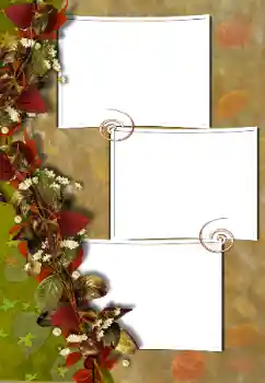 Foto effect van de categorie Verschillend № 103882 Foto effect van de categorie Verschillend № 103882