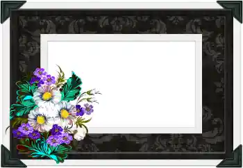 Foto effect van de categorie Verschillend № 104106 Foto effect van de categorie Verschillend № 104106