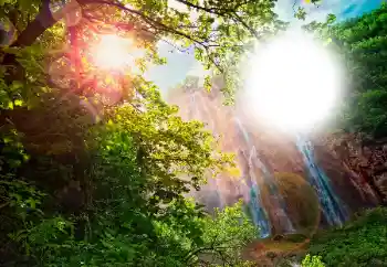 Foto effect van de categorie Verschillend № 105565 Foto effect van de categorie Verschillend № 105565