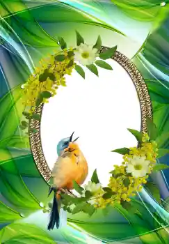 Foto effect van de categorie Verschillend № 105576 Foto effect van de categorie Verschillend № 105576