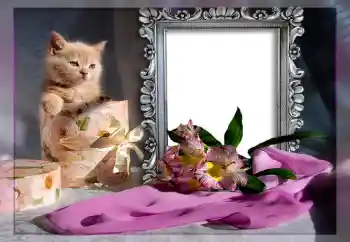 Foto effect van de categorie Verschillend № 10835