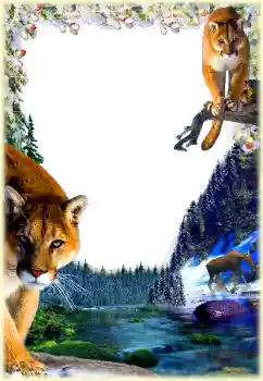 Foto effect van de categorie Verschillend № 112361