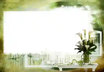 Foto effect van de categorie Verschillend № 112461