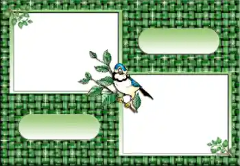 Foto effect van de categorie Verschillend № 112641