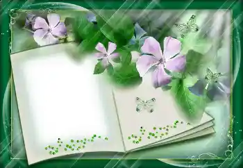 Foto effect van de categorie Verschillend № 112842