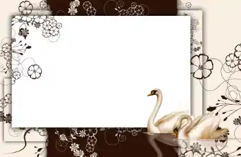 Foto effect van de categorie Verschillend № 112848