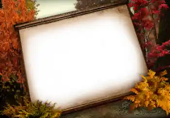 Foto effect van de categorie Verschillend № 113138