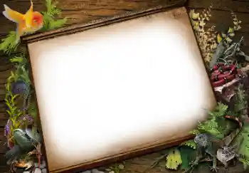 Foto effect van de categorie Verschillend № 113139