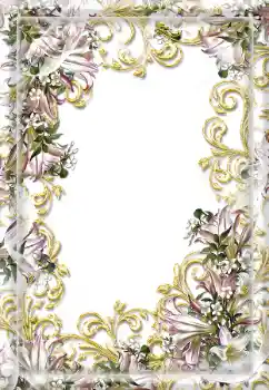 Foto effect van de categorie Verschillend № 114216 Foto effect van de categorie Verschillend № 114216