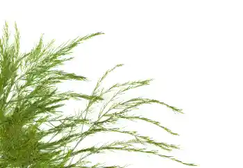 Foto effect van de categorie Verschillend № 114378 Foto effect van de categorie Verschillend № 114378