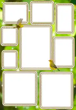 Foto effect van de categorie Verschillend № 114577 Foto effect van de categorie Verschillend № 114577