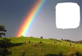 Foto effect van de categorie Verschillend № 114599 Foto effect van de categorie Verschillend № 114599