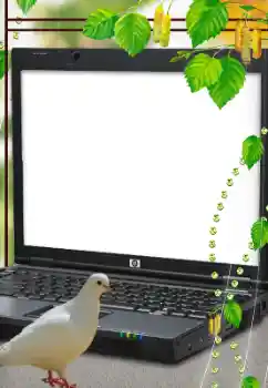 Foto effect van de categorie Verschillend № 114633 Foto effect van de categorie Verschillend № 114633