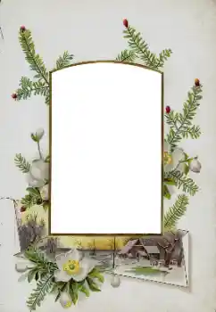 Foto effect van de categorie Verschillend № 115833