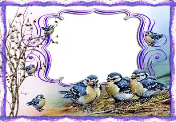 Foto effect van de categorie Verschillend № 115877